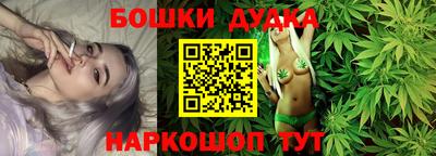 крисы Кулебаки