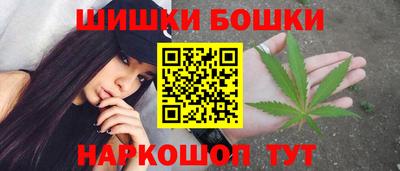 крисы Кулебаки