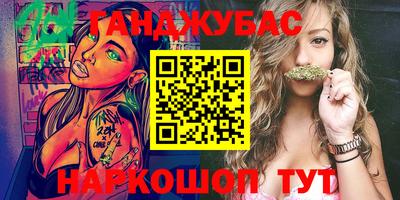 крисы Кулебаки